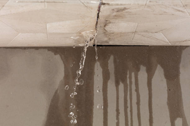 Professional Structural Drying technician working in Pomona, NY